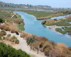 The San Elijo Lagoon spans over 1,000 acres of land. It is filled with wildlife, scenery, and plenty of things to do like bird watching and going on a